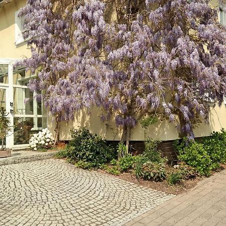 Pension Franzbaecker Варбург Экстерьер фото