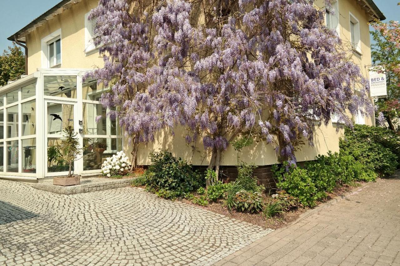 Pension Franzbaecker Варбург Экстерьер фото